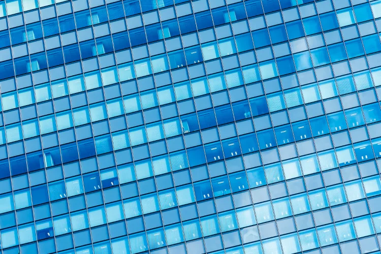 Product Launches & Go-to-Market